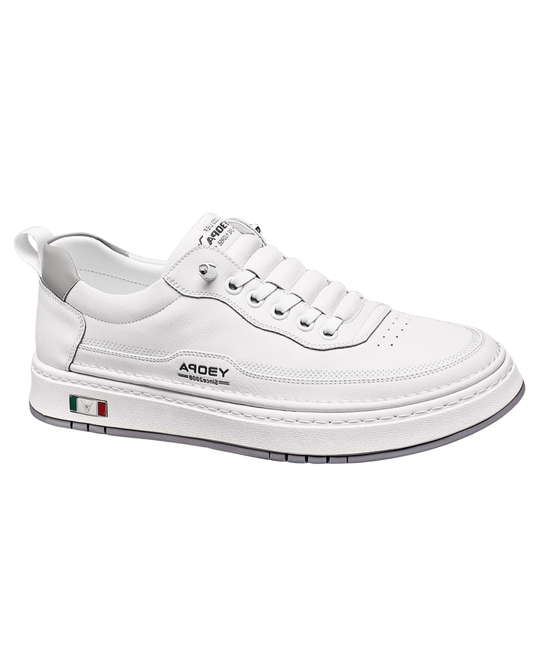 Sapatos de couro italiano